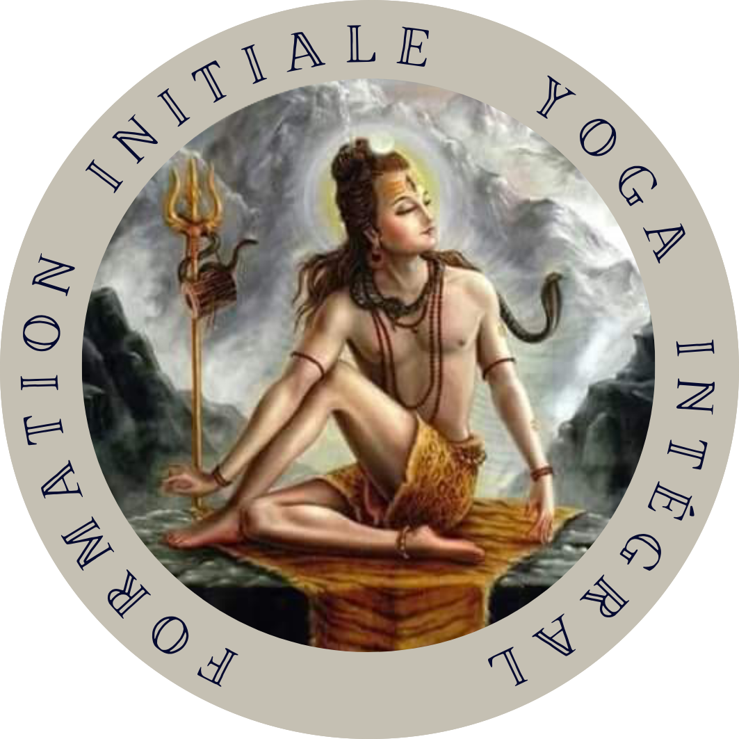 Yoga Intégral devenir professeur de yoga Inde