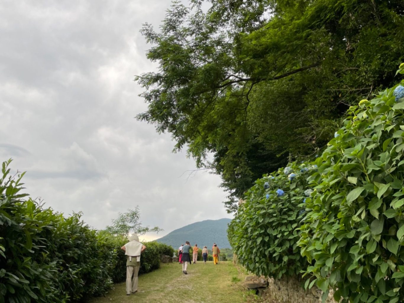 Balade pendant stage de yoga dans les Pyrénées Promenade avec élèves en formation Yoga Nidra à Lestelle Bétharram
